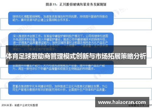 体育足球赞助商管理模式创新与市场拓展策略分析